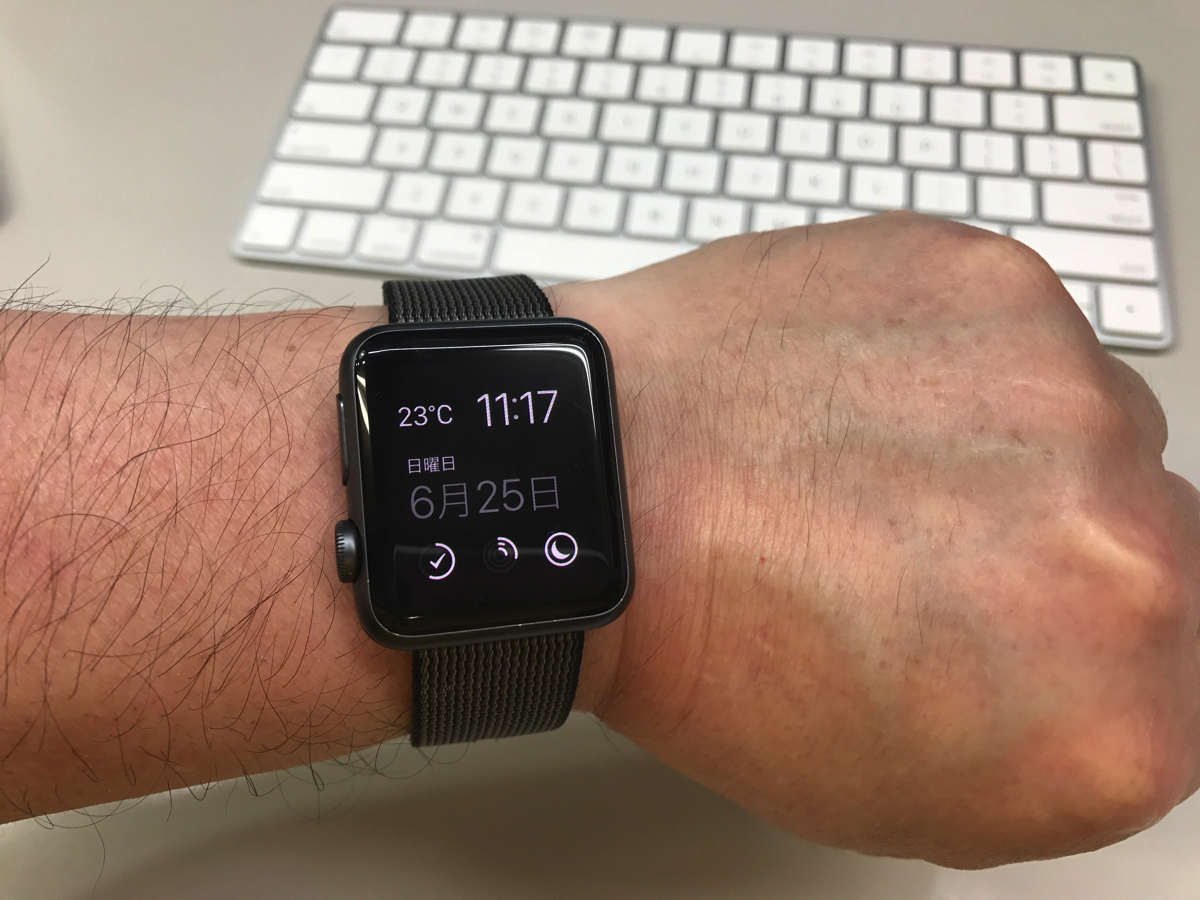 Apple Watchのデジタルクラウンを左側にできるって知ってた？ penchi.jp