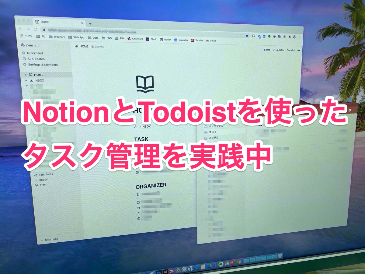 todoist with notion